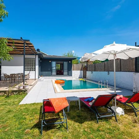 Murphy * Fethiye